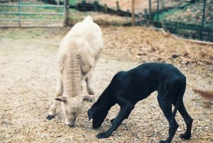 Holly L w_Jackie R full views