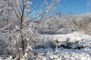 snow on the pond
