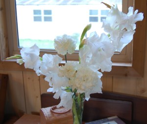 White carnation and gladiola blooms grace tiny space