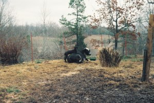 Closer Jackie straddling Sonny w_his face