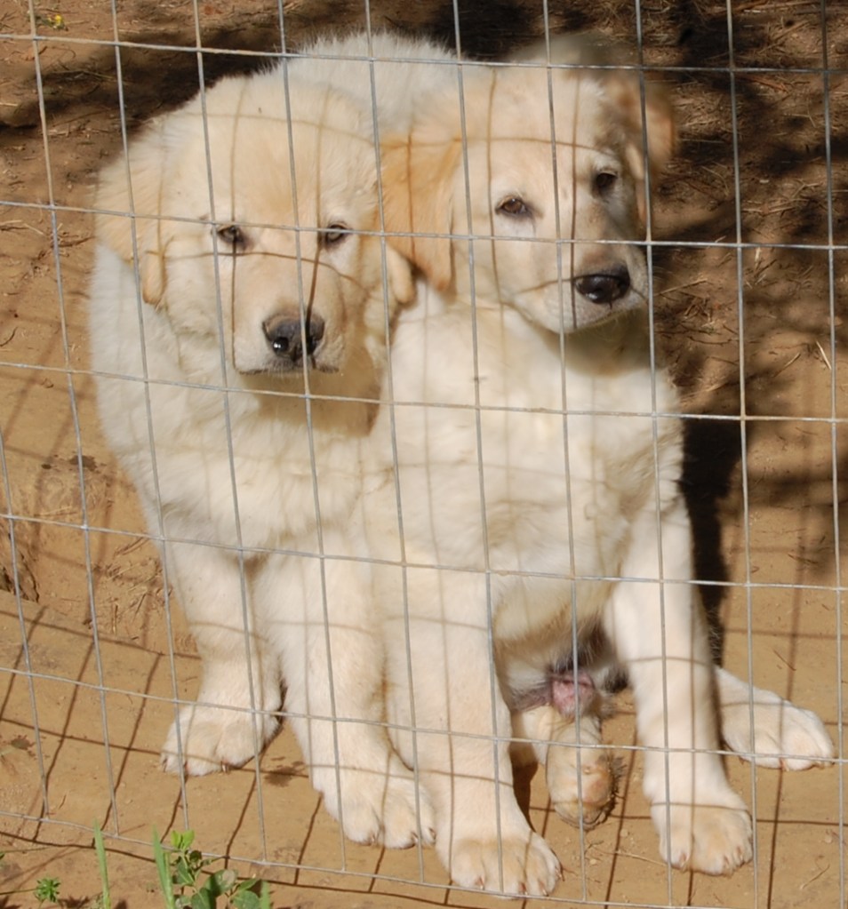 StephenJudesittingcloseclonecrop