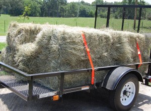 Closecroptrailerw_hay